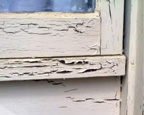 Paint adhesion loss